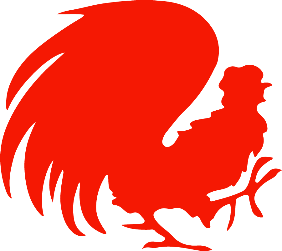 Jacksonville State Gamecocks 1972-1988 Secondary Logo diy iron on heat transfer